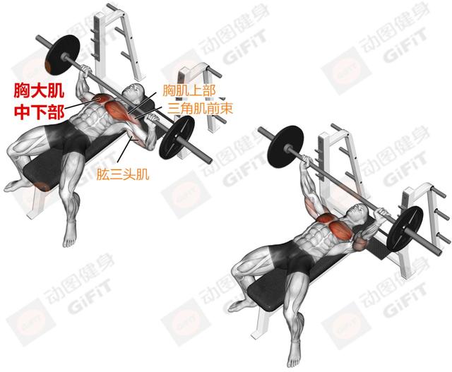 练下肢健身房运动_健身房下肢训练_健身房练下肢的动作
