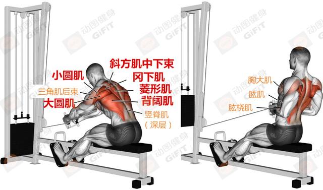 练下肢健身房运动_健身房练下肢的动作_健身房下肢训练
