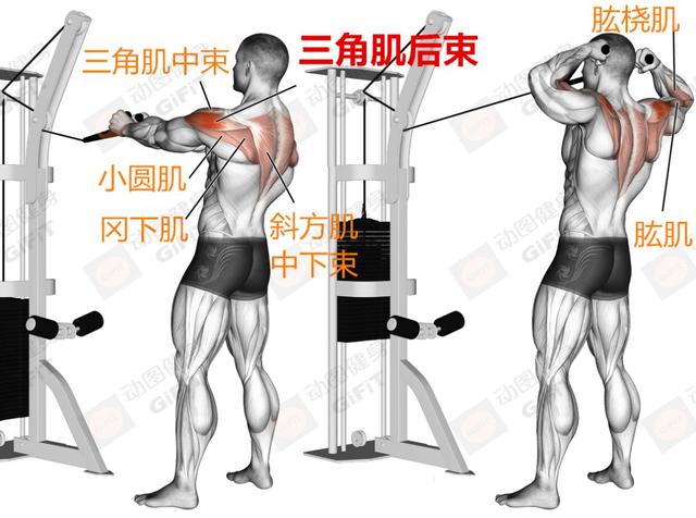 健身房练下肢的动作_练下肢健身房运动_健身房下肢训练