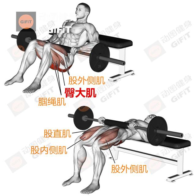 健身房下肢训练_健身房练下肢的动作_练下肢健身房运动