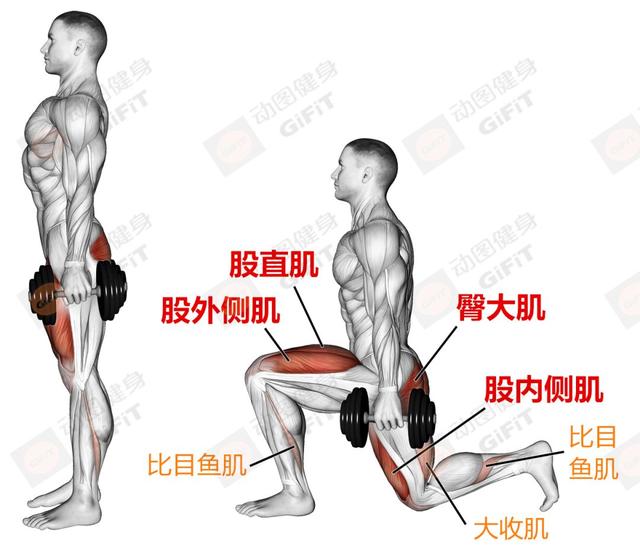 健身房下肢训练_练下肢健身房运动_健身房练下肢的动作