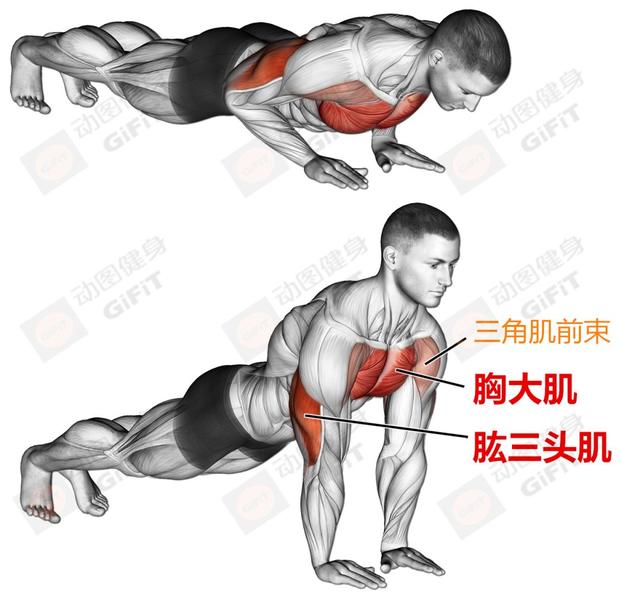 练下肢健身房运动_健身房练下肢的动作_健身房下肢训练