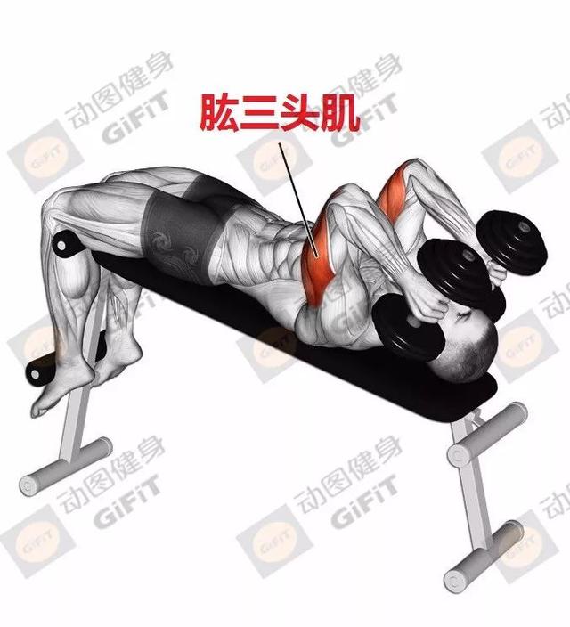 健身房练下肢的动作_练下肢健身房运动_健身房下肢训练
