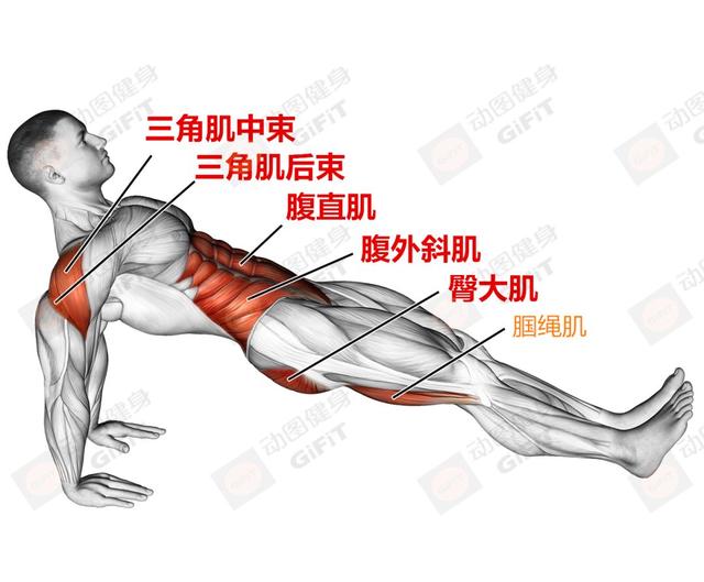 练下肢健身房运动_健身房下肢训练_健身房练下肢的动作