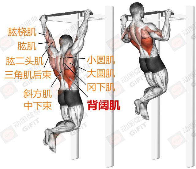 健身房下肢训练_健身房练下肢的动作_练下肢健身房运动