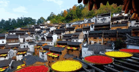 重阳节身体健康_重阳节身体健康_重阳节身体安康