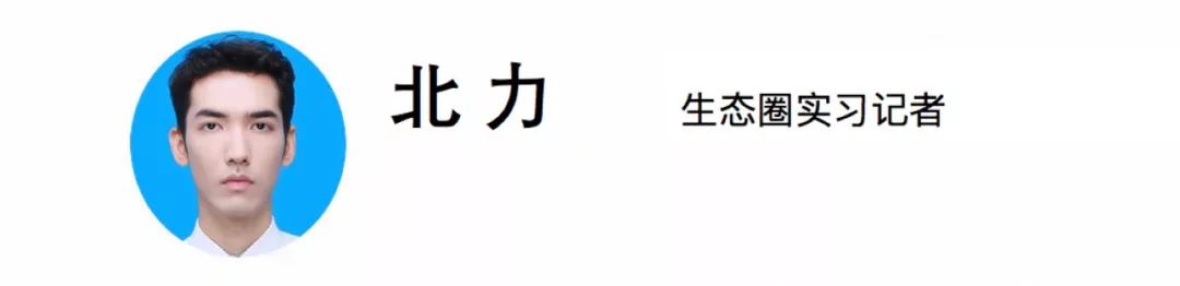 足球八强有几个队_2021足球八强_美国足球历史有没有进过八强