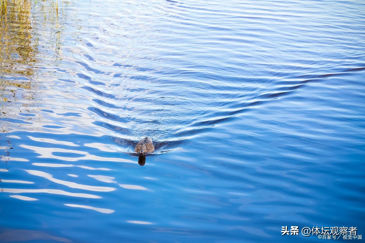 游泳深水教学_游泳深水区怎么站起来_游泳深水测试技巧有哪些